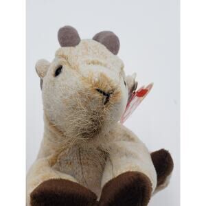 Ty Beanie Baby Goatee 1998